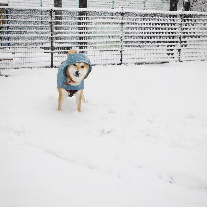 6be988b8 e2cc 4f47 baf2 f1de31aa6742 1516660885750