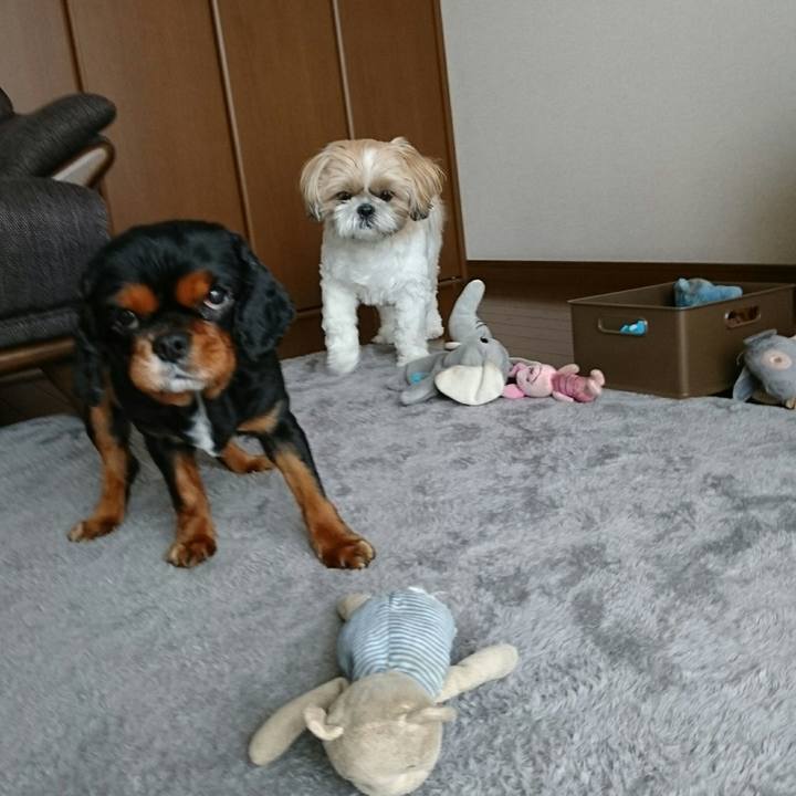 6be98f3c 37d8 47c7 8bd5 9de560b31496 1556768650389