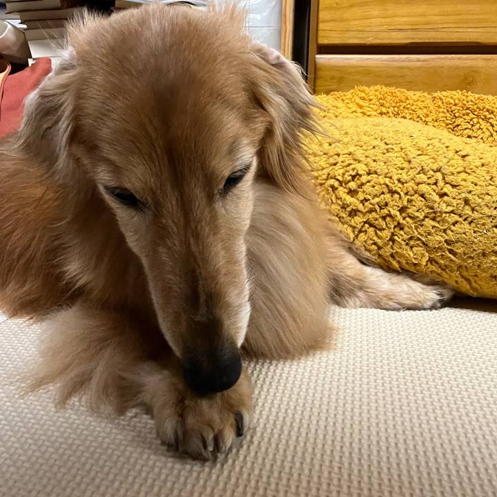 6be9a512 2fda 4dea 925f 9e6b11a14355 1684760497400