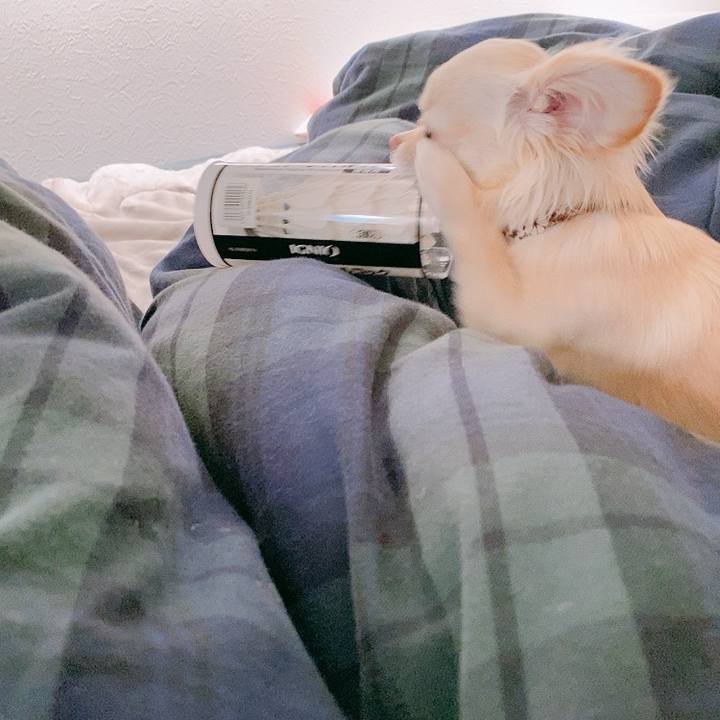 6bea39e2 1bb8 4cbe b42d 037753dc5315 1611719504480