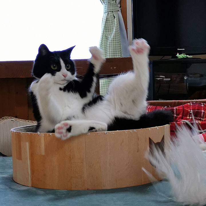 6bea6a75 22f9 46bd ab0a 1608edca8df2 1638697248164