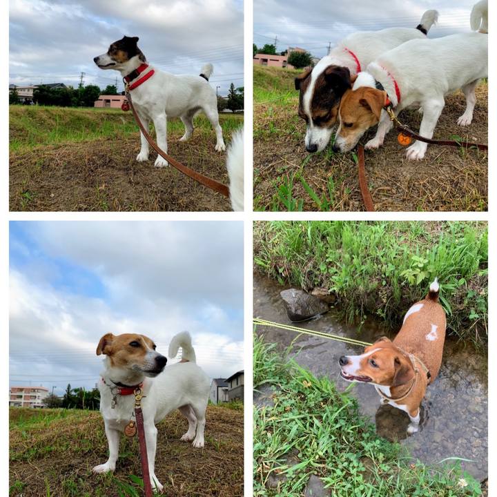 6bea8af3 5a29 4d54 9bd6 f36508c9316c 1564871041448