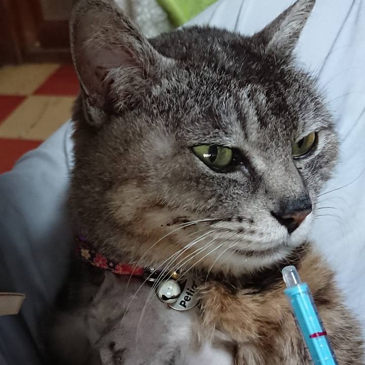 6bea8f1a f42e 421d 9685 298ea31d9273 1589670678643