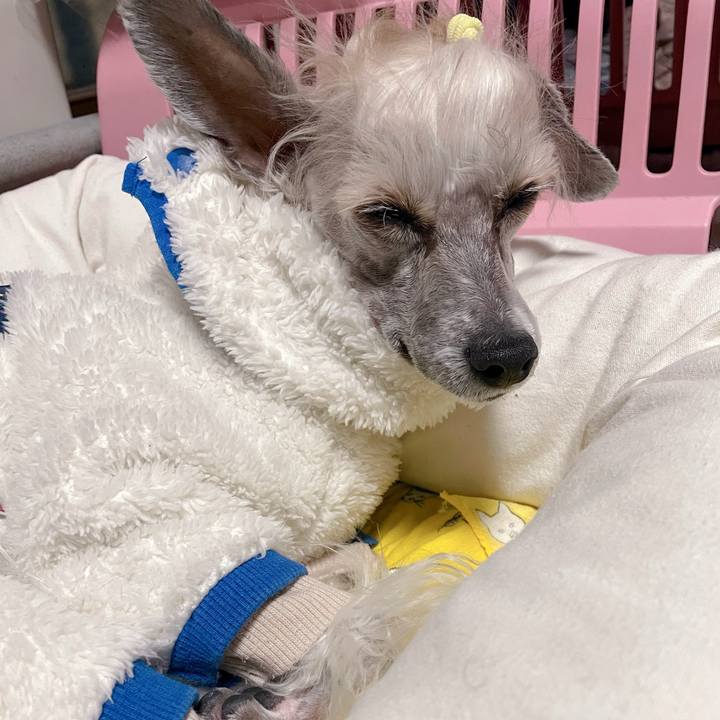 6bea9227 f019 4952 8e14 63966375d989 1764390029008