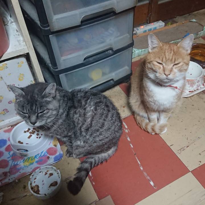 6beb020f 654c 4e71 b5d3 931d451bbf74 1572292105607