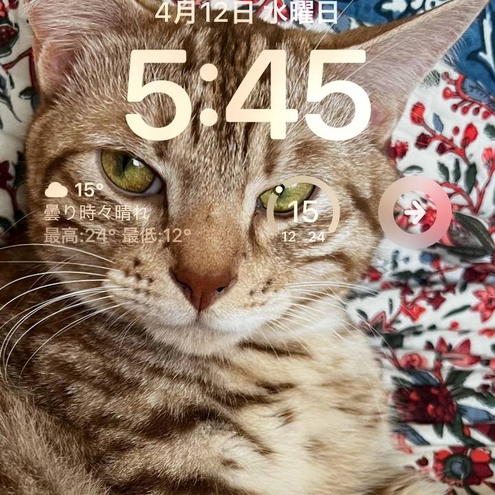 6beb16fd a4d6 4a42 b5de a1e30344a69c 1681252540319