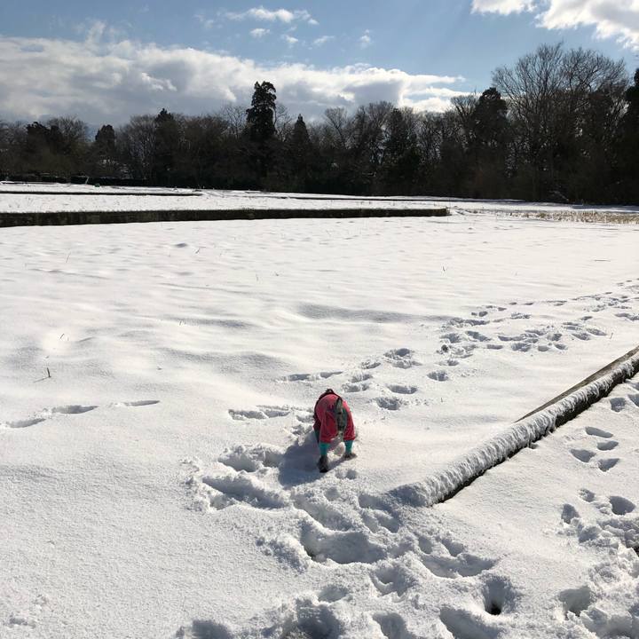 6beb1ac2 84ed 4719 b170 6f219b0b61da 1548567462749