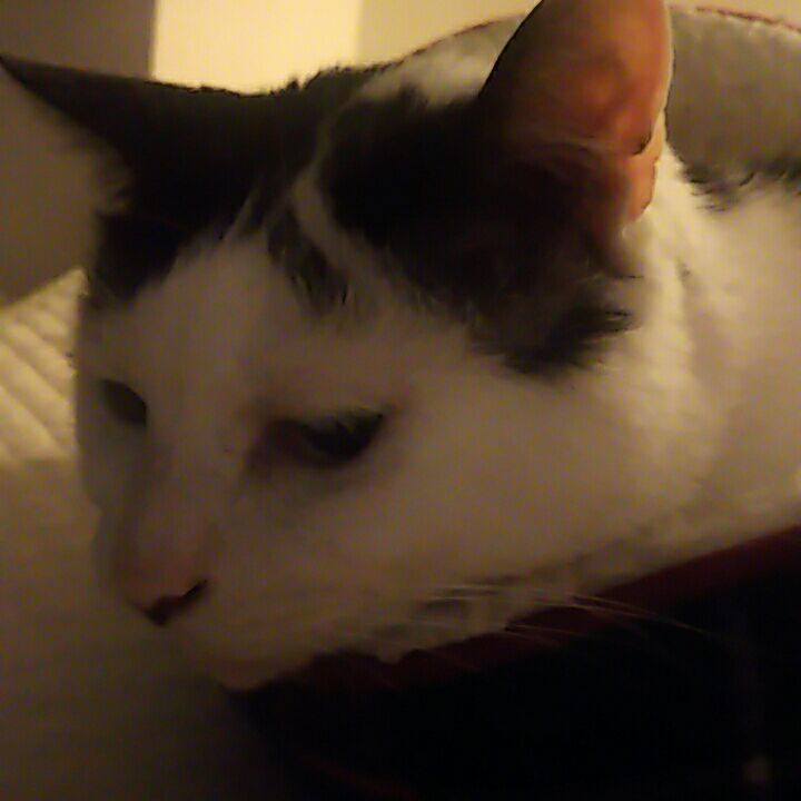 6beb3d39 5800 4ee3 b293 e10c6a68da0f 1537365404500