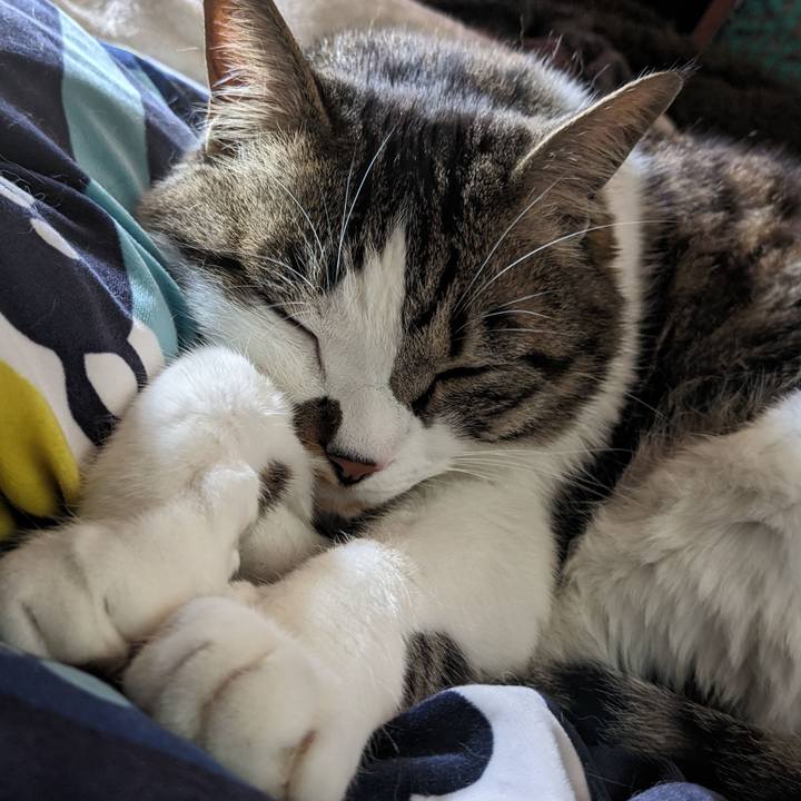 6beb52b2 de05 494f 8cf3 b5a24983aa38 1712458740379