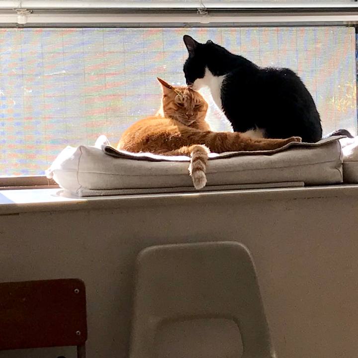 6beb6d38 44db 4c91 8c1a f3f9d2c12a28 1512972892403