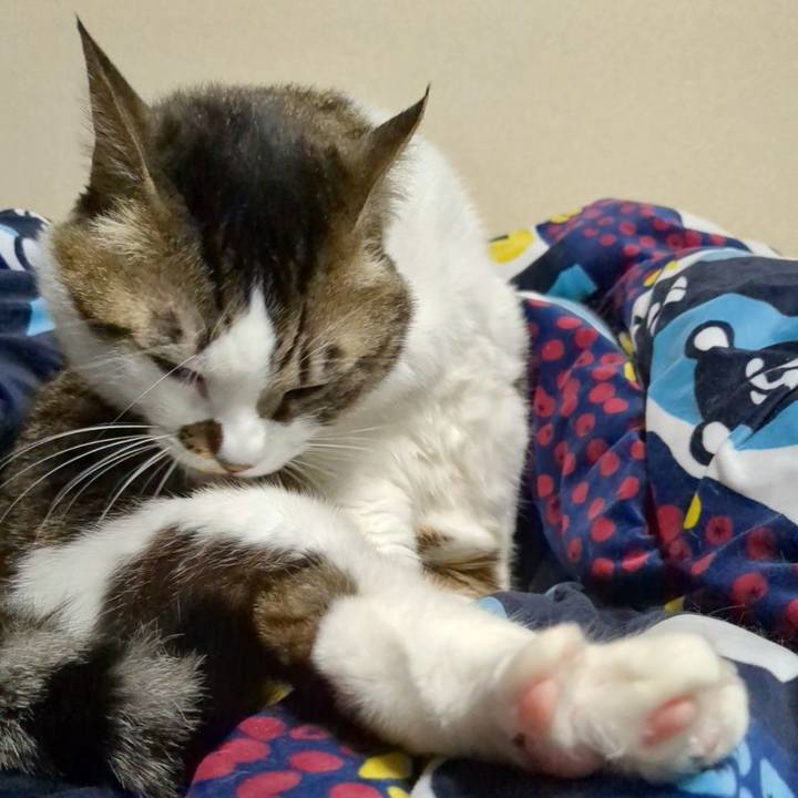 6beb75d3 26c6 4b93 97f1 7dfc93189078 1707731900342