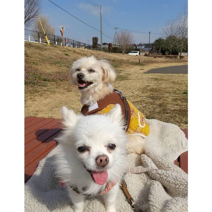 6beb8ea0 46ef 448e 9093 eb6c0acf509c 1677150152236