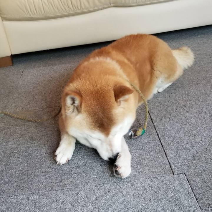 6beb9405 abbb 4ede 88b3 3f1eea0ff1ac 1656113860898