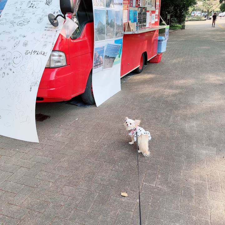 6bec0364 a214 4f86 92e2 60e353c9e801 1713095789912