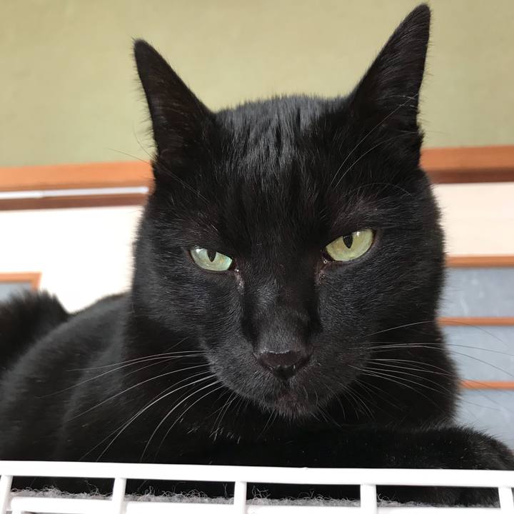 6bec396f f62a 4017 a0c6 68c91b018b56 1518571924936