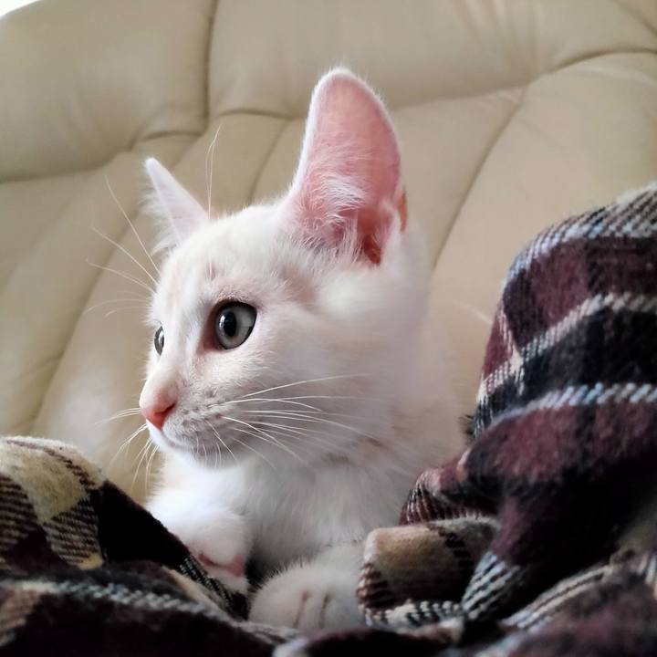 6bec8504 d326 40e2 919c 14100cff26cd 1625179374448