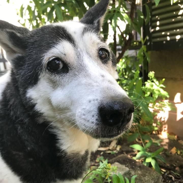 6becf070 117b 4a9f ab3e 5ffbeb841d77 1656927633416