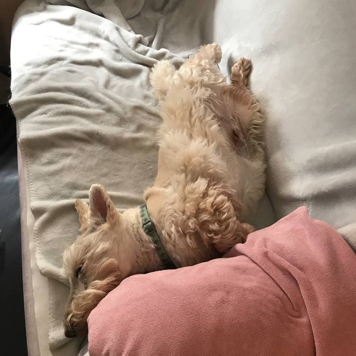 6bed3456 b4a3 428c 988d 3725138b8095 1595396492027