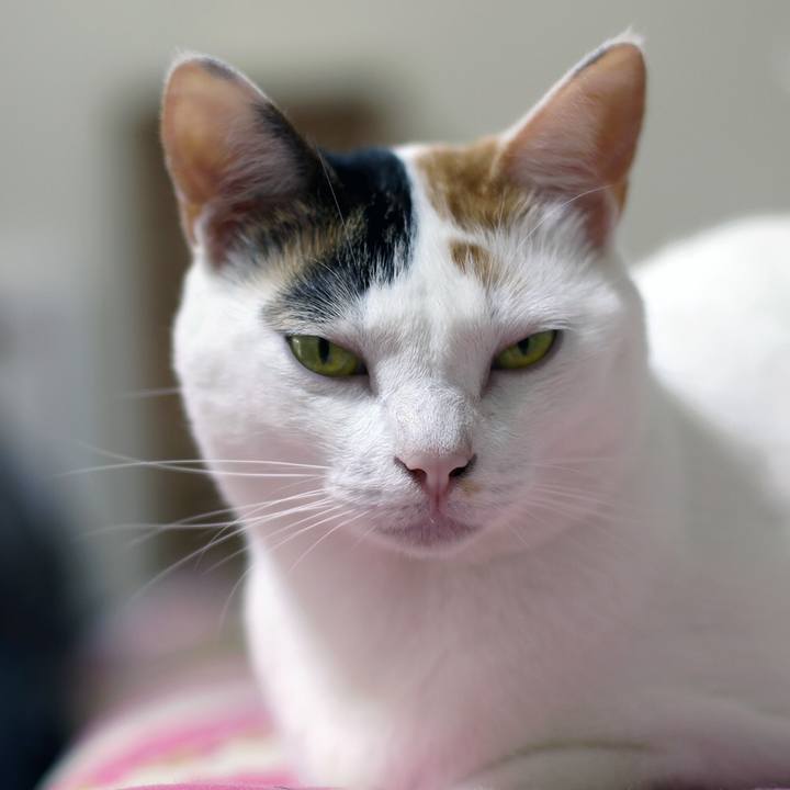 6bed5cc7 4479 40df 86a5 12681845f506 1641685135535