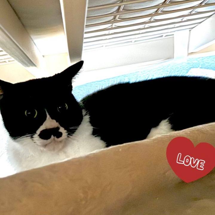 6bed6bec d841 455f 9c5e 219395c1f7b6 1728102978896