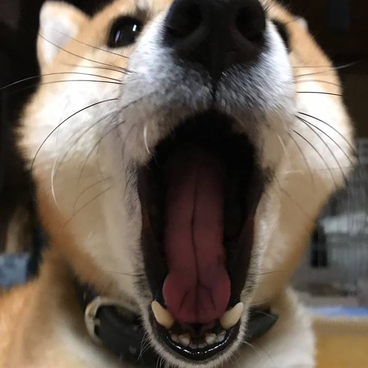 6bed72aa 4ad0 48a7 9af0 85ccd447c360 1516764553124