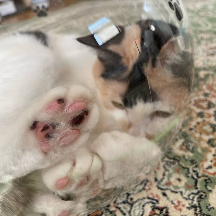 6bed8001 f51e 4ef3 9c78 1a525073119d 1721949556904