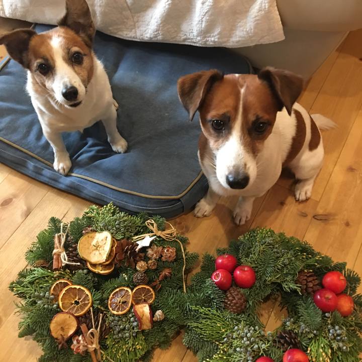 6bed8f0e 527e 440f 98b5 0c1df067e58d 1512220022324