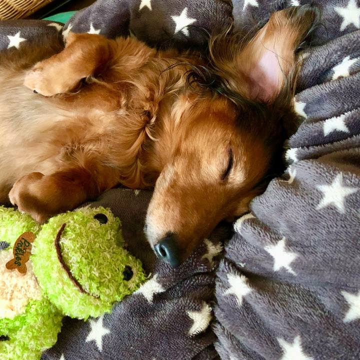 6bedabb7 28cb 487d a0e6 b8156970dc0d 1773023306768