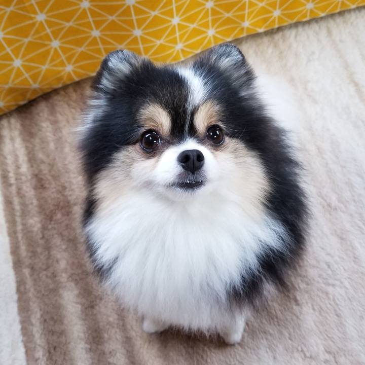 6bedbf46 ad55 42f5 9f22 89e22fb11f08 1563233180397