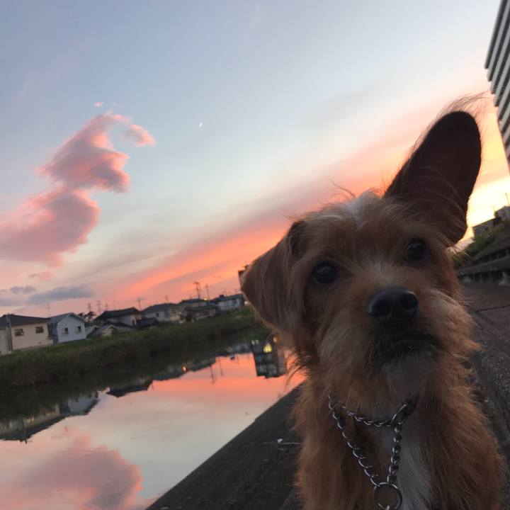 6bedc7ac d02b 4634 81d9 3a692ad1a297 1539336858944