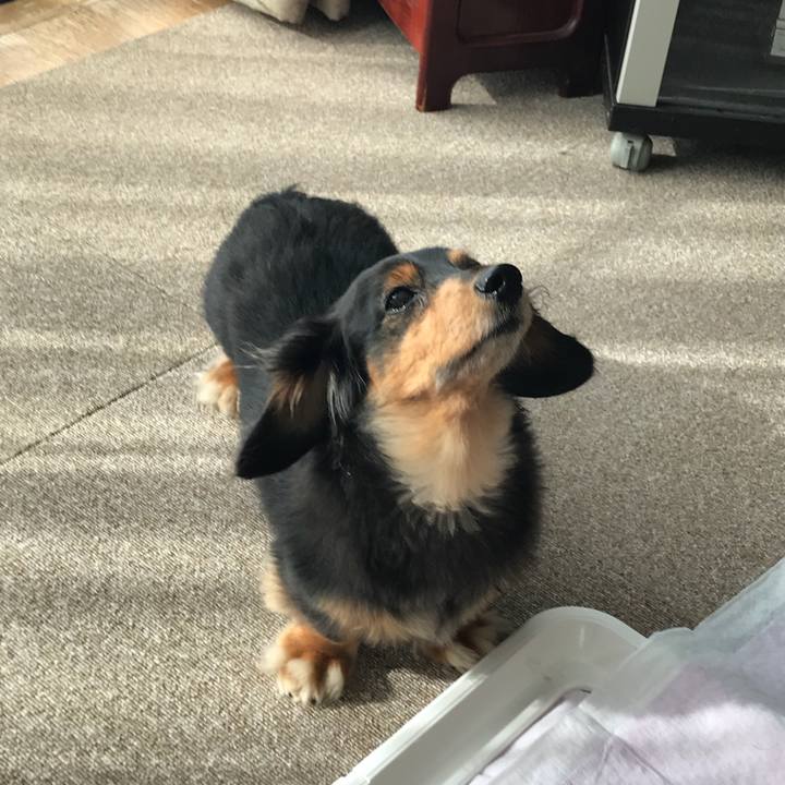 6bedea0e d774 4d07 ad23 8a024deeacd3 1530395478463