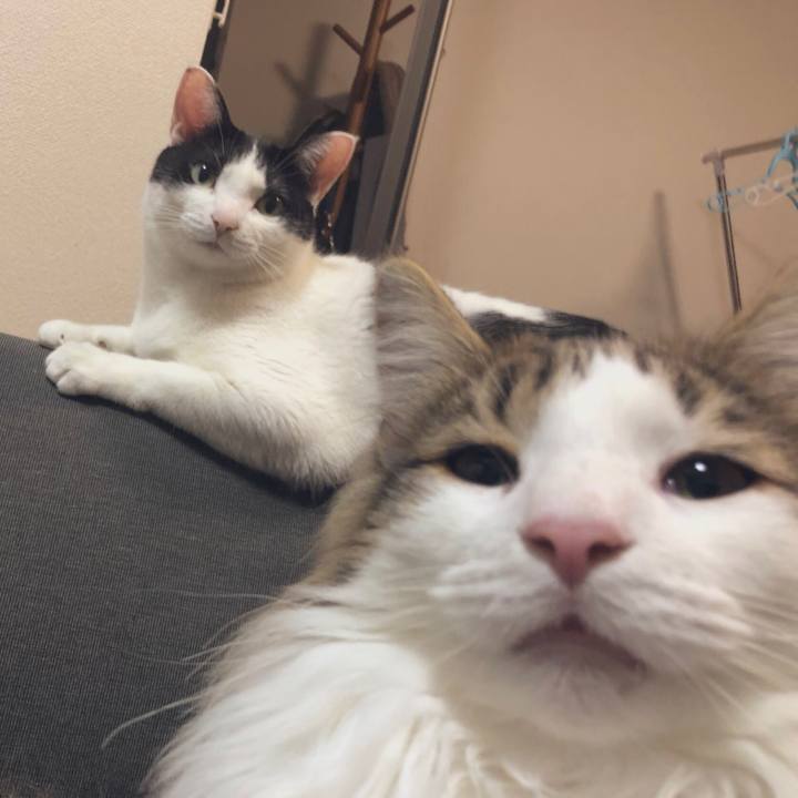 6bee0383 5eba 44eb 84ce 76b6e49df33d 1554305189560