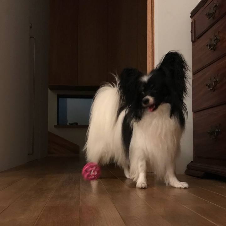 6bee2280 57e6 4077 8605 2063778bddb3 1531651892475