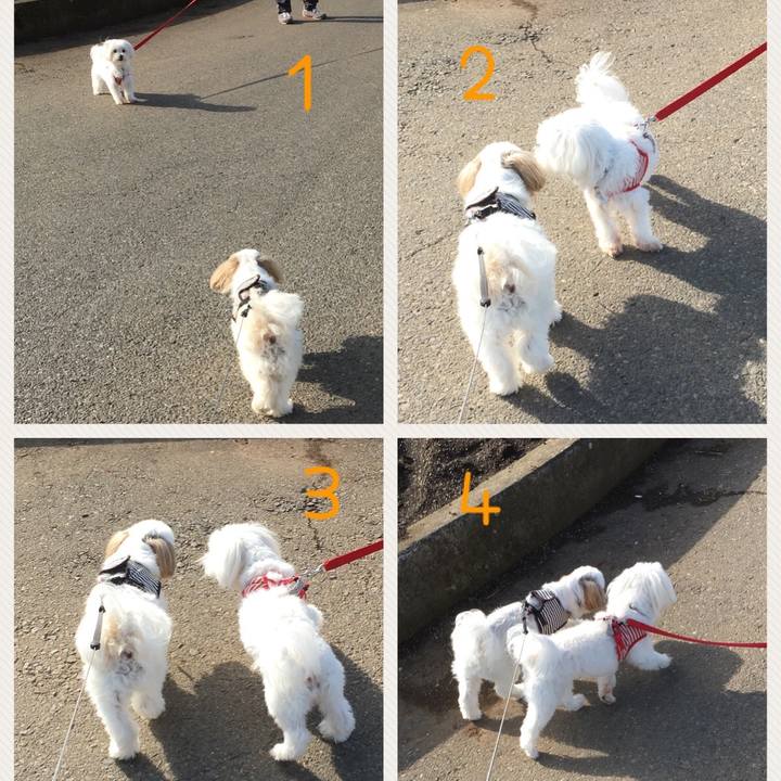 6bee2db2 a7ba 429c b73c aff077b14bd9 1541827220197