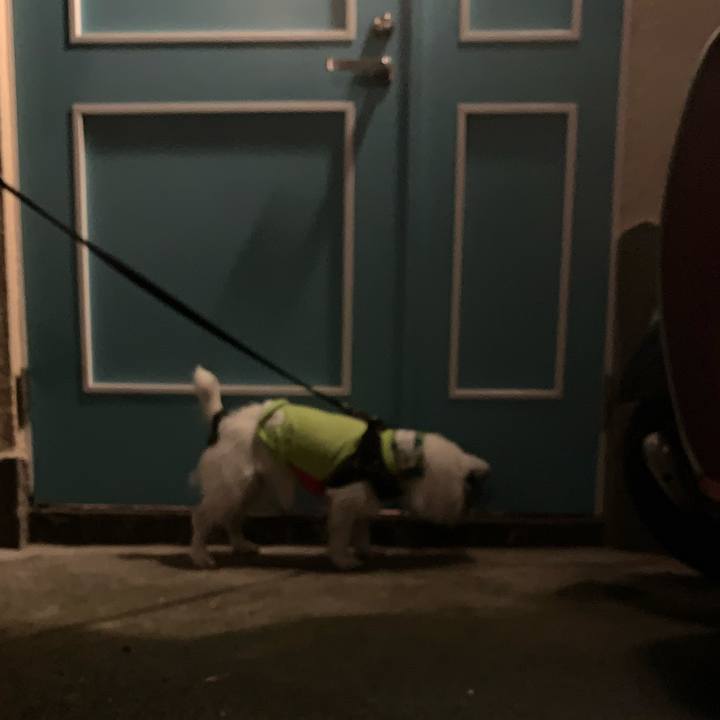 6bee55c1 1892 4b8e 9cfc dbd522d64f06 1657975604611