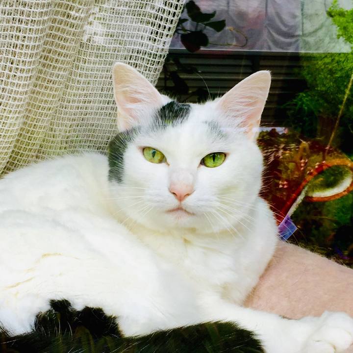 6bee6085 c2de 4d08 84bf 06a82699362e 1563262786957