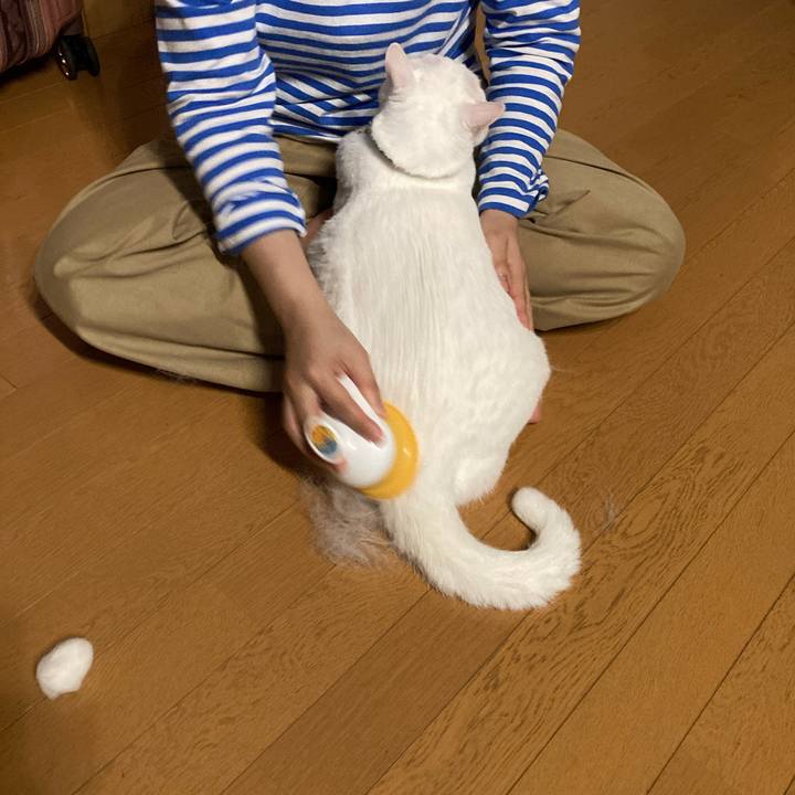 6beea1bd 4a83 4a22 8a66 95b47ad5ab25 1760960022442