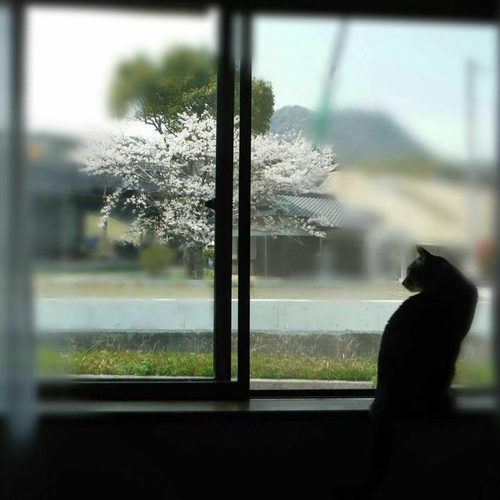 6beeb1d8 2b65 4d29 b1d0 48649665da86 1522906061093