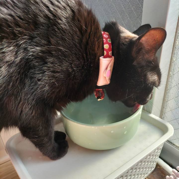 6beeb73e 77d1 4d58 914e 05811be98e3b 1650321404330