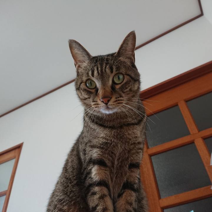 6beece0e 55a3 45c6 8158 cc9d197cb570 1549538791479