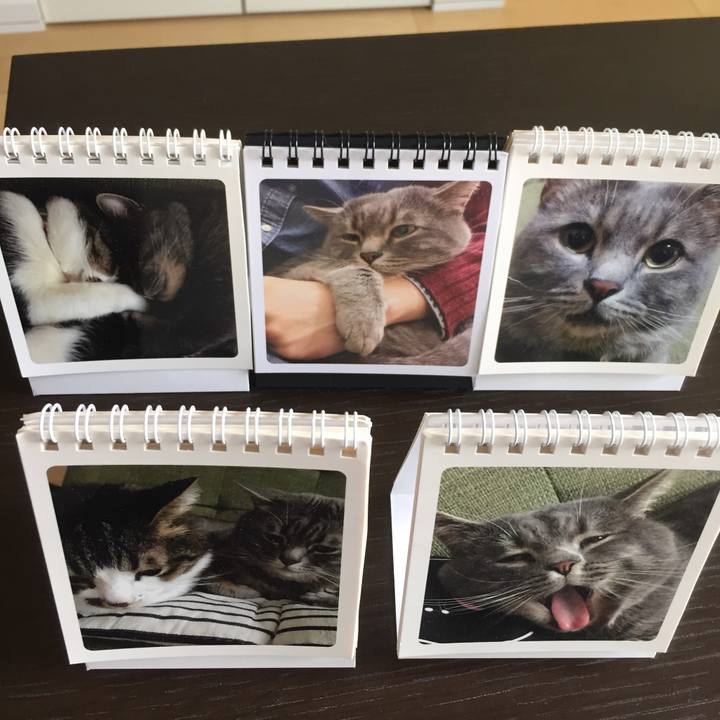 6beed67b 3082 4395 800f 6dceddfdda81 1562797741681