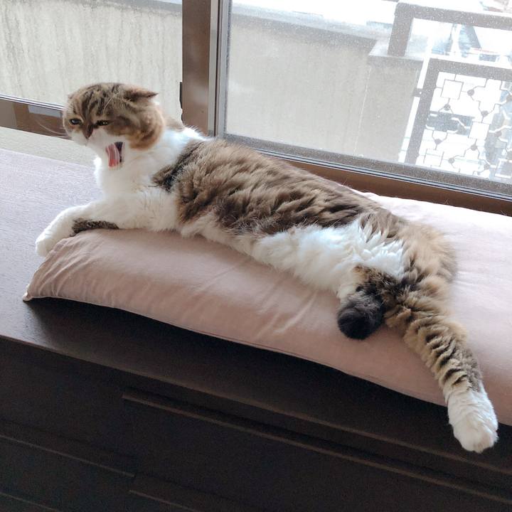 6beedaee 18e7 478a 98df 1985095b5702 1566128288793