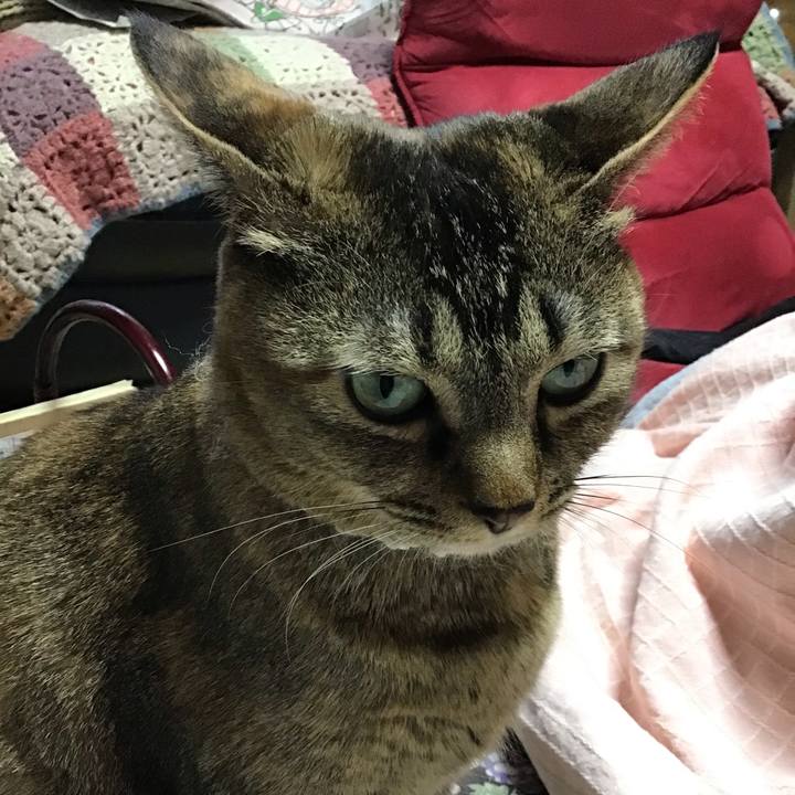 6bef1ab3 1cf6 41bc bdfb b2f755f4bf5e 1647505520292