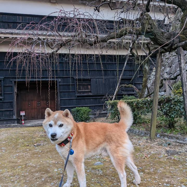 6bef2a57 4708 426a b6c8 c32e23d90ea8 1770382730734