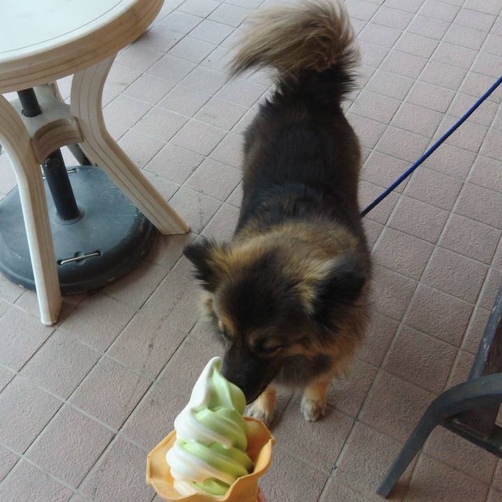 6befb7aa b974 4c9b 9a17 948931130620 1771744602452