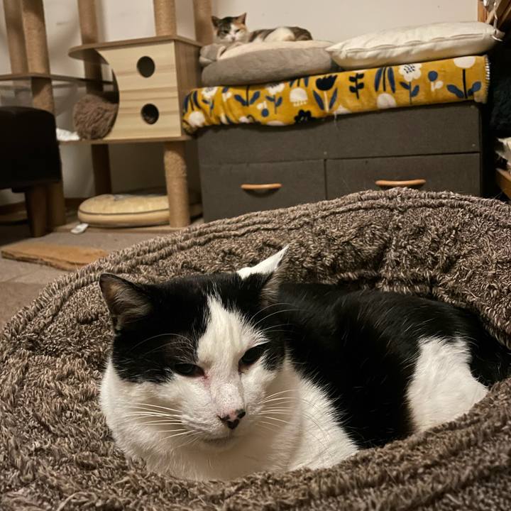 6befbf99 a4f2 4962 9bf4 97541cbea6bb 1774491433915