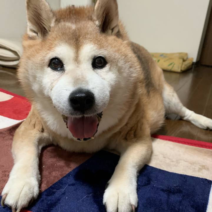 6befdd1a df0d 44a8 b112 037ea849e052 1630155106259