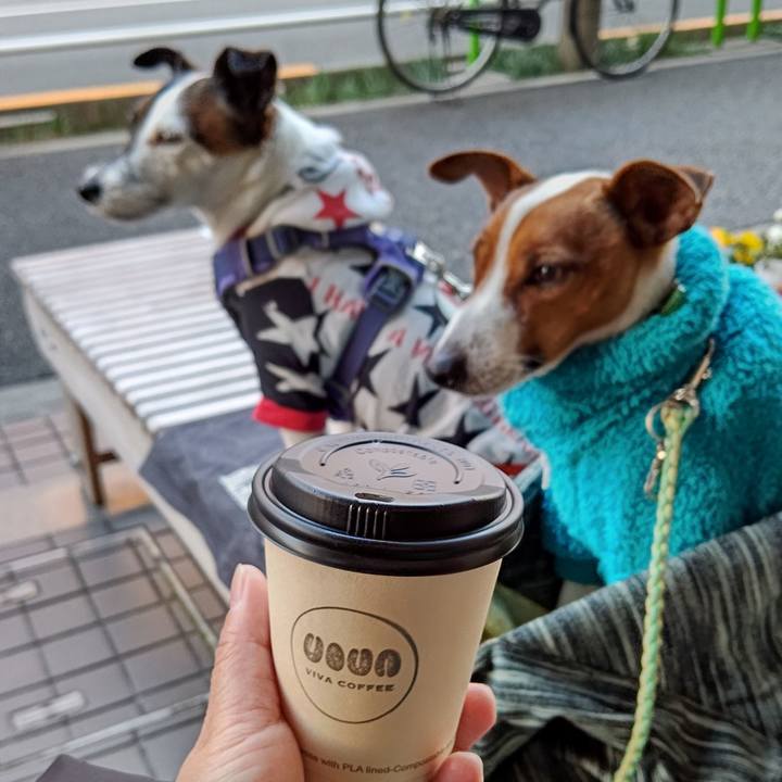 6bf0391c 57ff 431a 8be5 d7ed606c0d5a 1643455858596