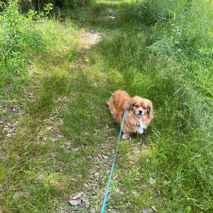 6bf0b5b9 7b50 45b6 8f64 c9ad8cc9f981 1654390413566