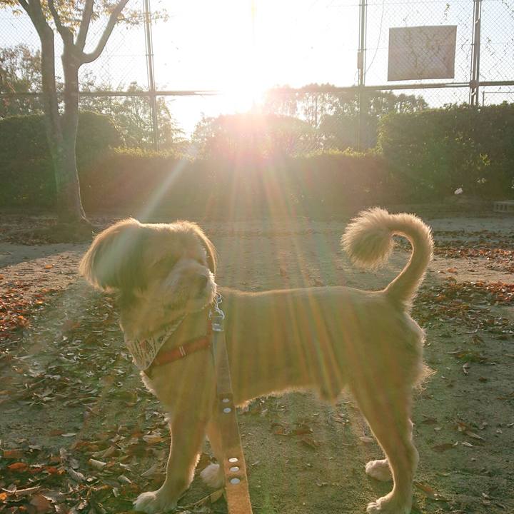 6bf11e22 b4b7 4105 9791 92f8b1e831bb 1572910490868